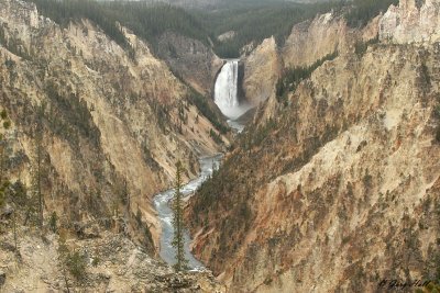 Yellowstone - Lower Falls.jpg
