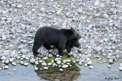 Grand Tetons 3.jpg