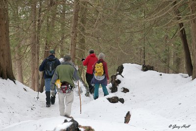 Hockley Valley Winter Hike 2.jpg
