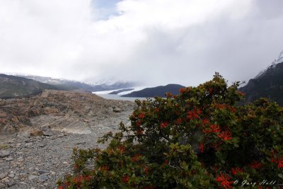 Grey Glacier  3- Torres del Paine N.P.jpg