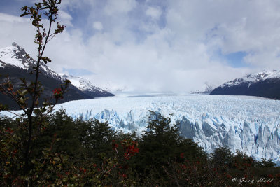 Perito Moreno Glacier 4.jpg