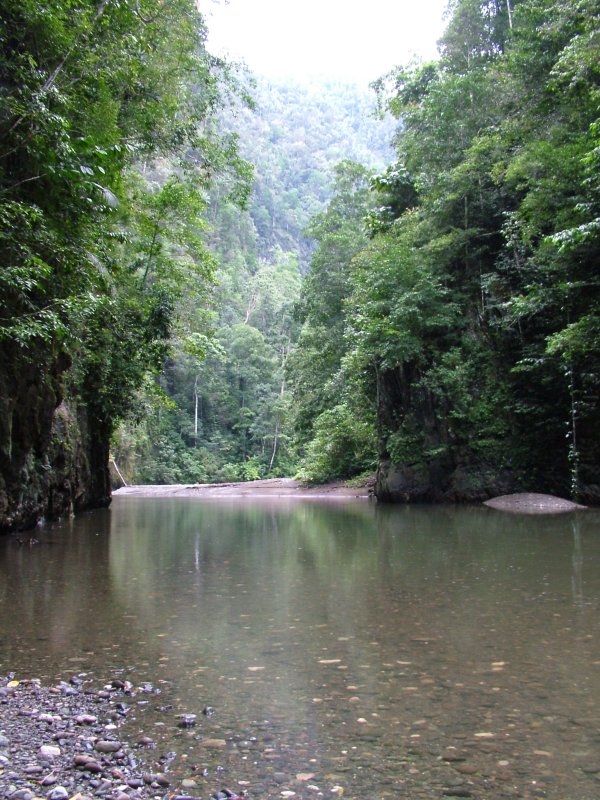 The Deep Crossing