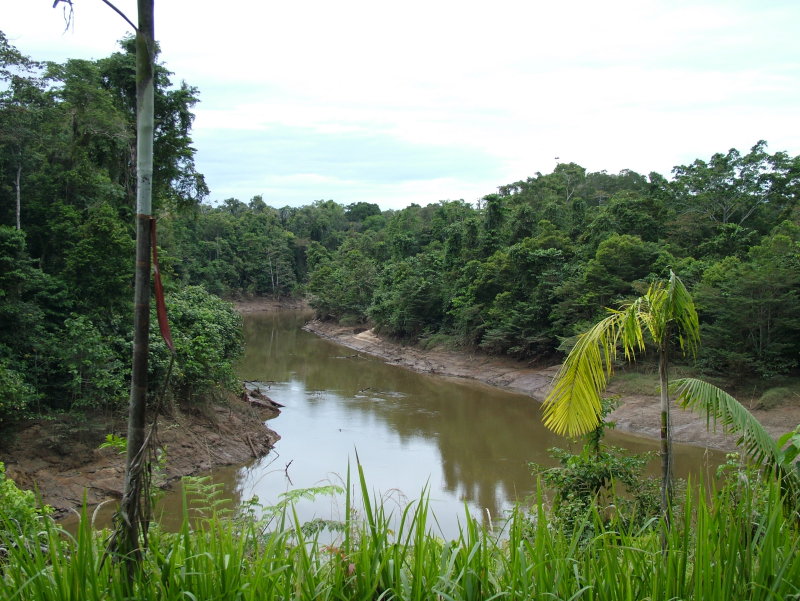 2006_0814NewGuinea030004.JPG