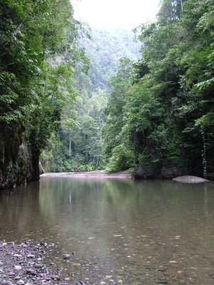 The Deep Crossing