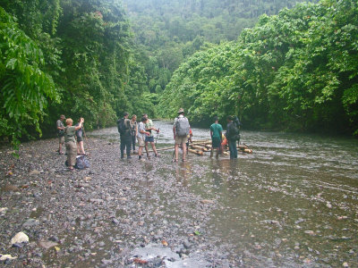 Raft Construction on the Saam River
