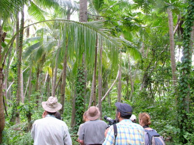 Trail across Wai Island