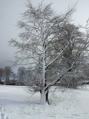 DSCF0884_450x600.JPG