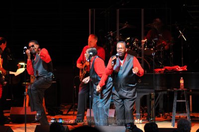 The Trammps
