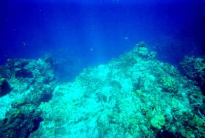 Cozumel Mexico Trip