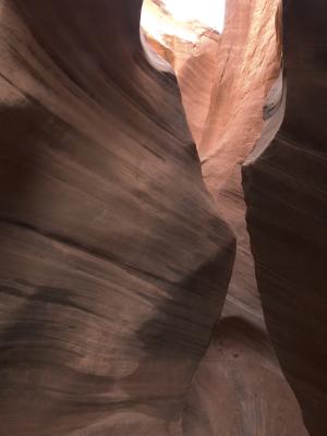 PeekABoo726.jpg