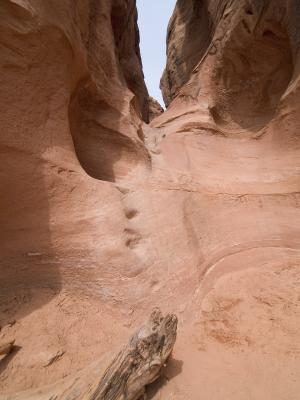 exit Peek736.jpg
