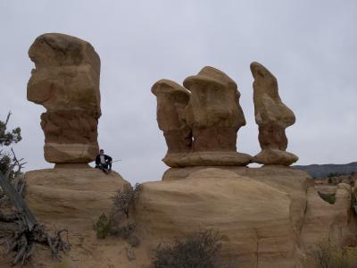 D777.jpg
