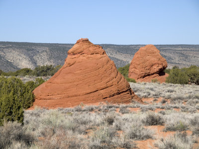 White Pocket & Coyote Buttes South