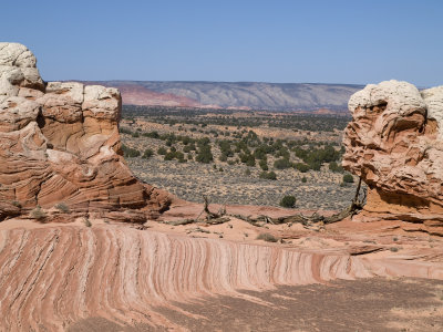 2 saddle237.jpg