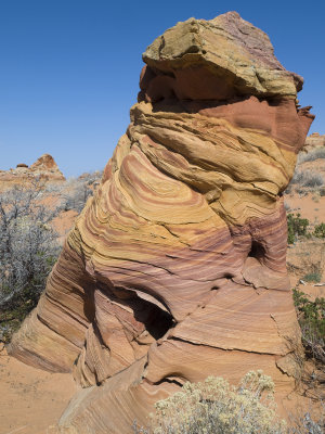 2 teepee339.jpg