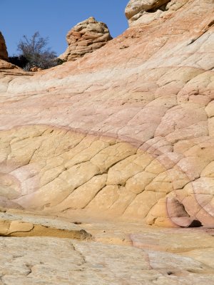 White Pocket & Coyote Buttes South