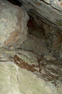 Caving with the DP1