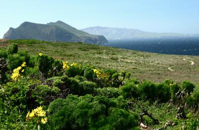 Anacapa island