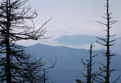 Great Smoky Mountains National Park