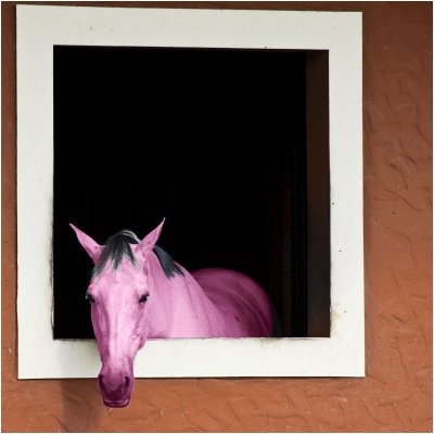Puns-Horse Of A Different Color-Cooper.jpg