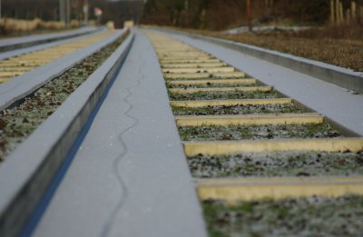 SI Lines On the Tracks by Calvin Sambrook.jpg