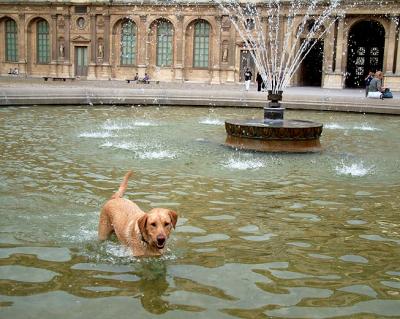 paris-352br.jpg