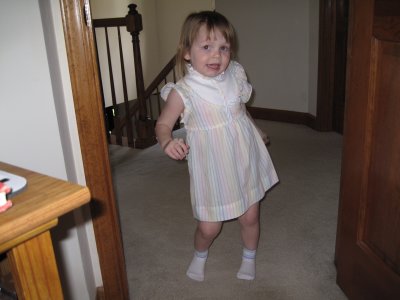 the dress
