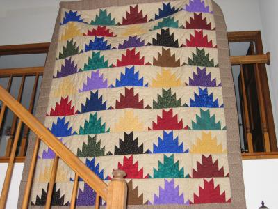 Chuck's Delectable Mountains Quilt