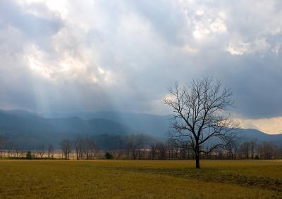 g3/83/338983/3/54373236.RaysofLight.jpg
