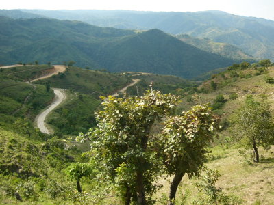 switchback road in rift highlands