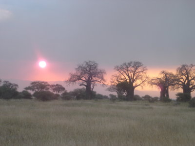 smoky sunrise with grass fire