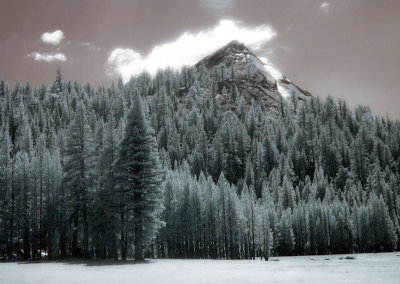 Yosemite, July 2008