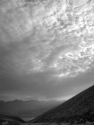 Bristlecone Pines, July 2008