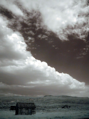 Bodie, July 2008