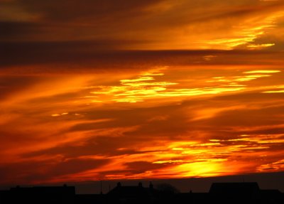 IMG_2197new.jpg