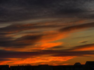 IMG_2217new.jpg