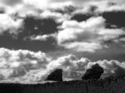 P4092891new.jpg