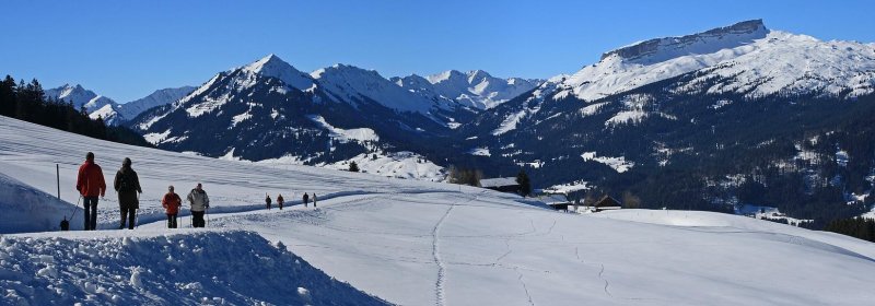 Kleinwalsertal Österreich Winterpanorama