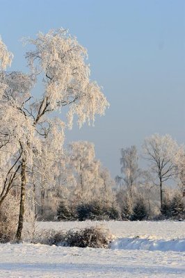 liereman-2009-01-09_086.jpg