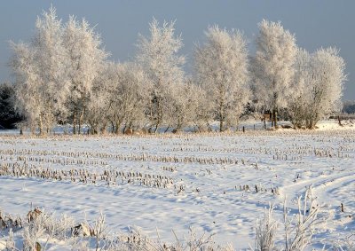 liereman-2009-01-09_104.jpg