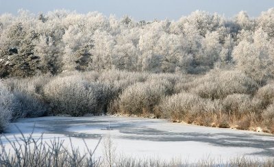 liereman-2009-01-09_132.jpg