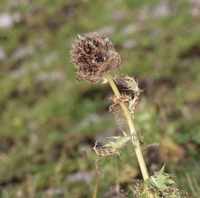 g3/83/3783/3/119776909.C9F05kDN.jpg