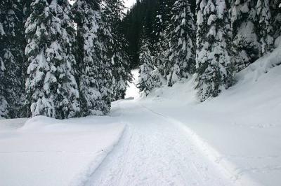 Kleinwalsertal - Rundwanderweg Gottesacker / Ifen