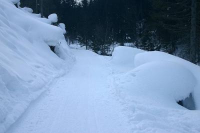 Kleinwalsertal - Starzeltal/Bärgunttal