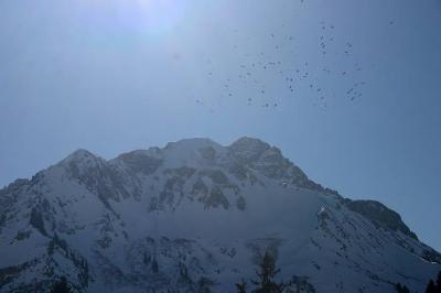 Kleinwalsertal - Winterwanderung Höhenweg Fuchsfarm nach Baad