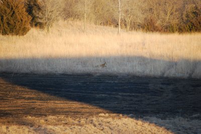 1_20_09 006.jpg