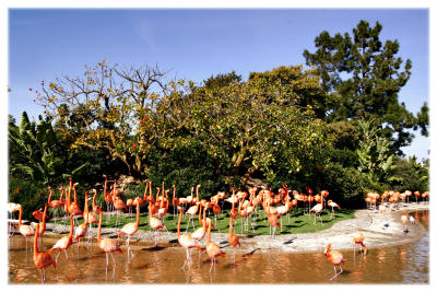 Sea World, San Diego