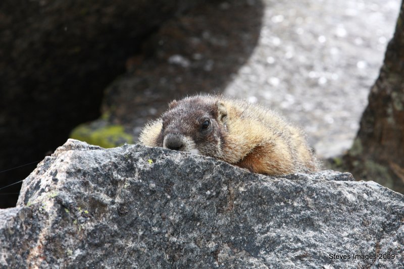 RMNP091.JPG