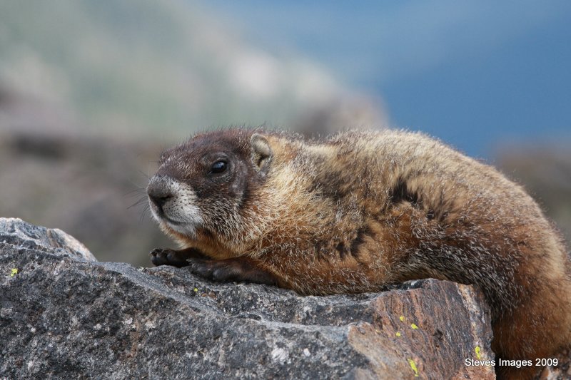 RMNP098.JPG