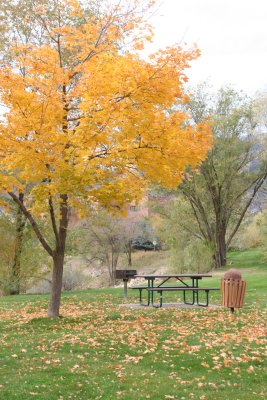 Glenwood Springs CO